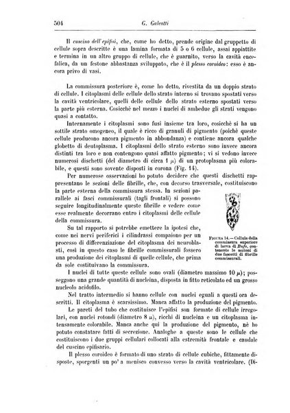 Rivista di patologia nervosa e mentale