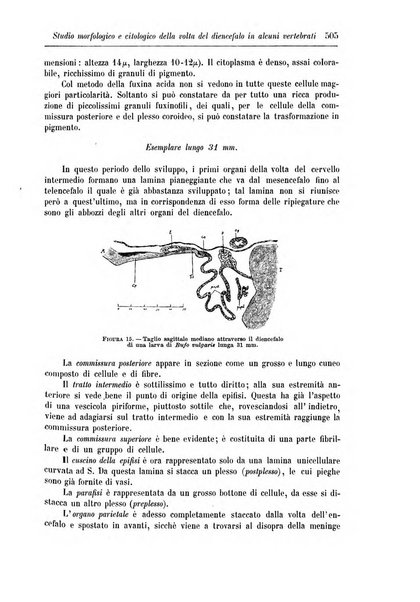 Rivista di patologia nervosa e mentale