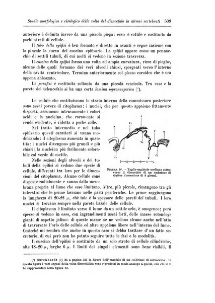 Rivista di patologia nervosa e mentale