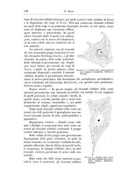 Rivista di patologia nervosa e mentale