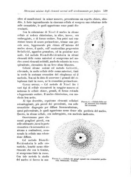 Rivista di patologia nervosa e mentale