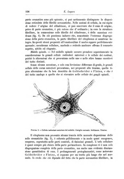 Rivista di patologia nervosa e mentale