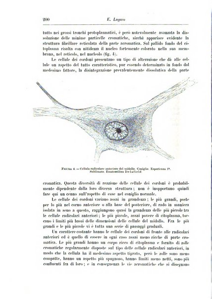 Rivista di patologia nervosa e mentale