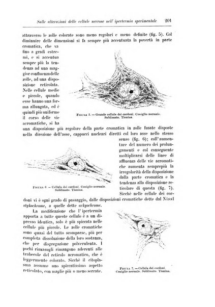 Rivista di patologia nervosa e mentale