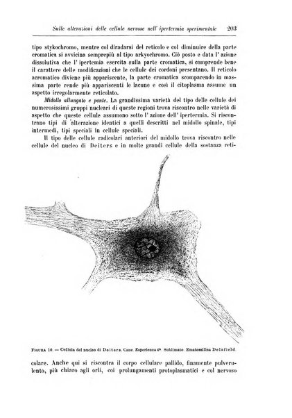 Rivista di patologia nervosa e mentale