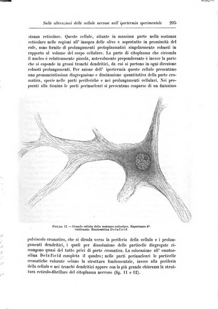 Rivista di patologia nervosa e mentale