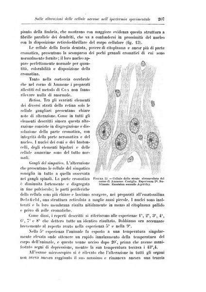 Rivista di patologia nervosa e mentale