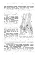 giornale/CFI0298588/1898/unico/00000235