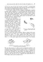 giornale/CFI0298588/1899/unico/00000037