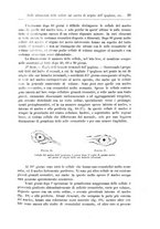 giornale/CFI0298588/1899/unico/00000039