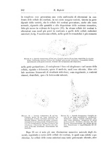 Rivista di patologia nervosa e mentale