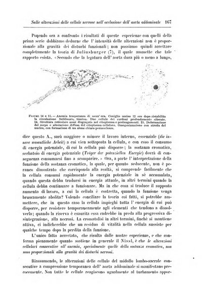 Rivista di patologia nervosa e mentale