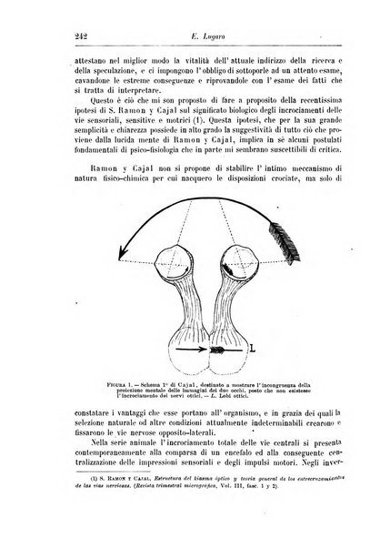 Rivista di patologia nervosa e mentale