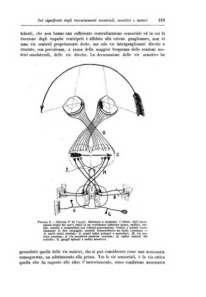 Rivista di patologia nervosa e mentale