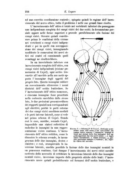 Rivista di patologia nervosa e mentale