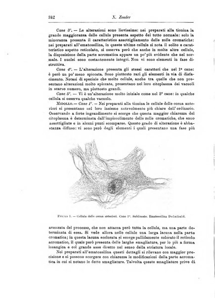 Rivista di patologia nervosa e mentale