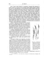 giornale/CFI0298588/1899/unico/00000490