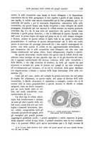 giornale/CFI0298588/1900/unico/00000181