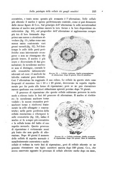 Rivista di patologia nervosa e mentale