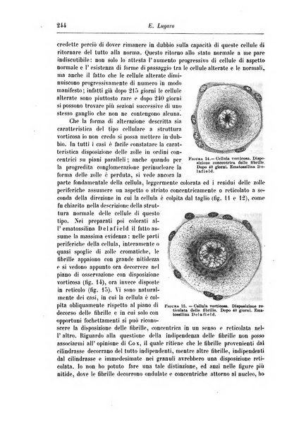 Rivista di patologia nervosa e mentale