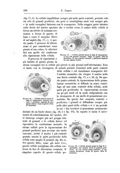 Rivista di patologia nervosa e mentale