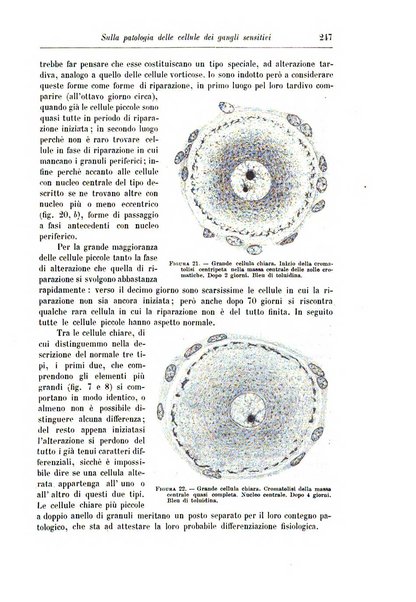 Rivista di patologia nervosa e mentale