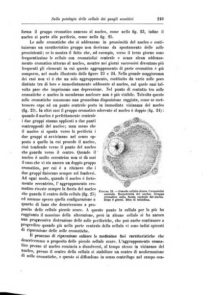 Rivista di patologia nervosa e mentale