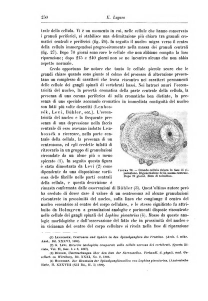 Rivista di patologia nervosa e mentale