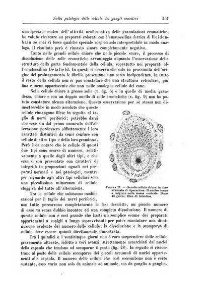 Rivista di patologia nervosa e mentale