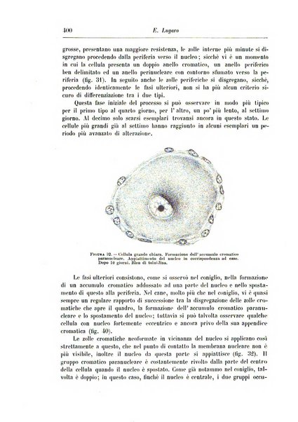 Rivista di patologia nervosa e mentale