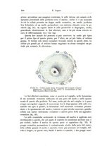 giornale/CFI0298588/1900/unico/00000442