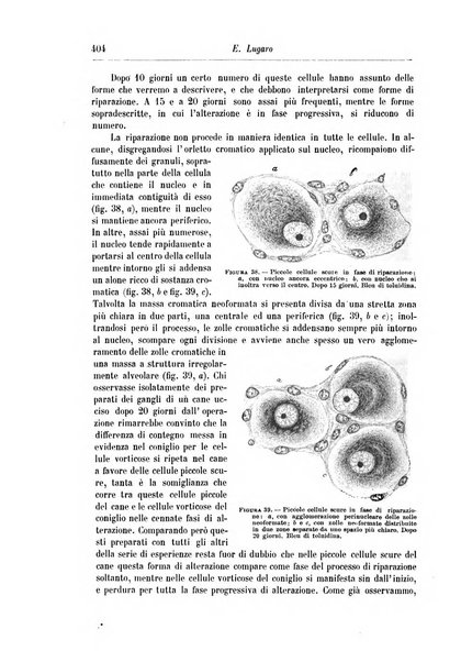 Rivista di patologia nervosa e mentale