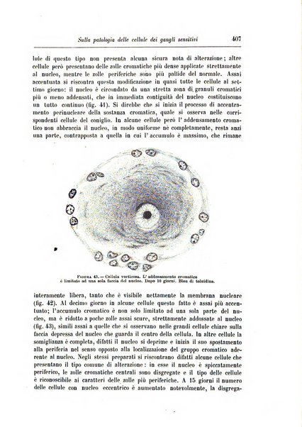 Rivista di patologia nervosa e mentale