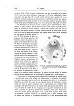 giornale/CFI0298588/1900/unico/00000452