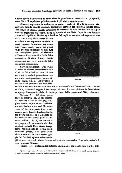 Rivista di patologia nervosa e mentale