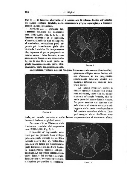 Rivista di patologia nervosa e mentale