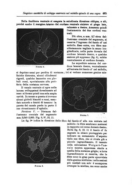 Rivista di patologia nervosa e mentale