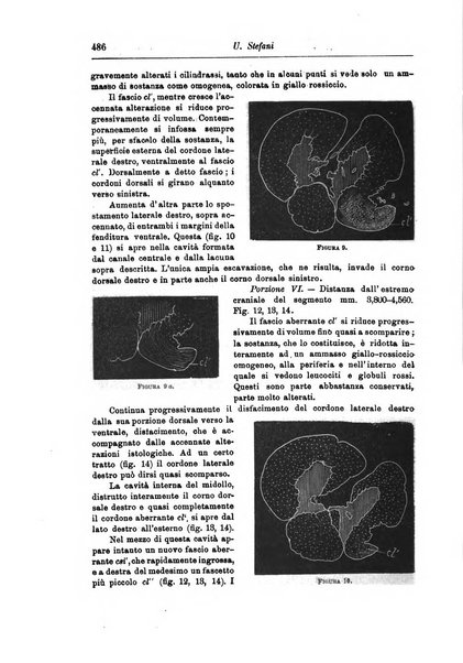 Rivista di patologia nervosa e mentale