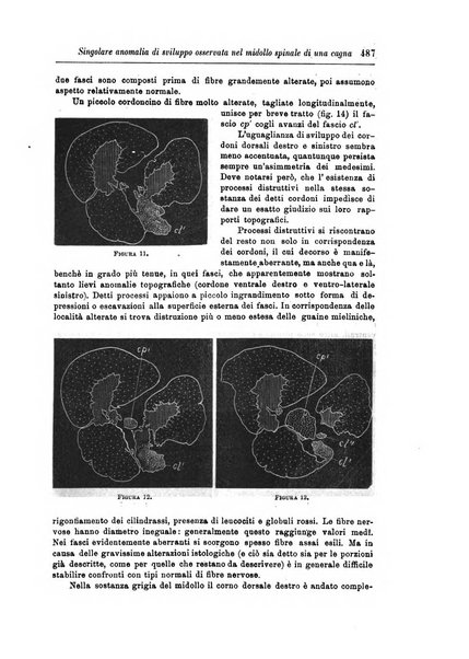 Rivista di patologia nervosa e mentale