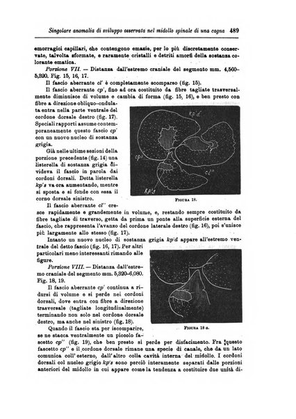 Rivista di patologia nervosa e mentale