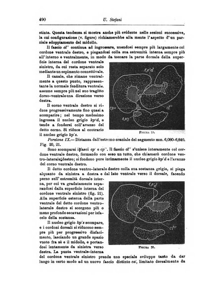 Rivista di patologia nervosa e mentale