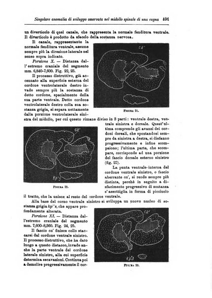 Rivista di patologia nervosa e mentale