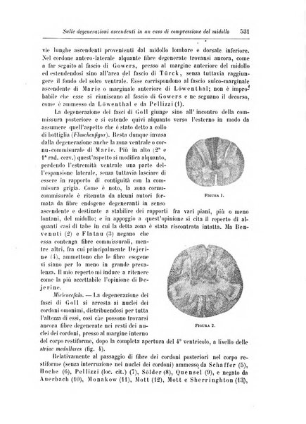 Rivista di patologia nervosa e mentale