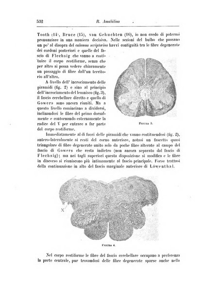 Rivista di patologia nervosa e mentale