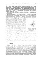 giornale/CFI0298588/1901/unico/00000023