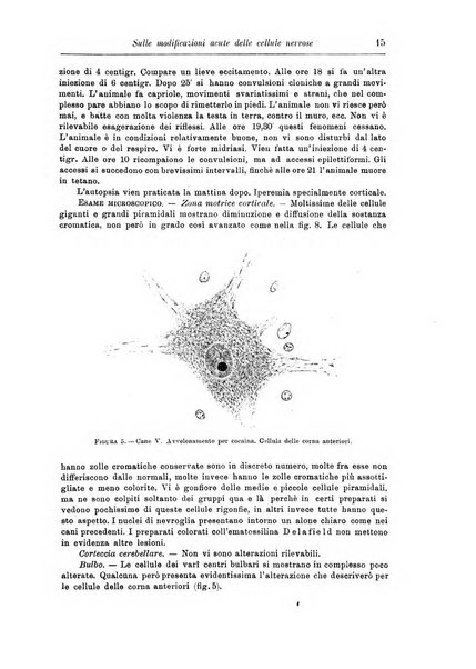 Rivista di patologia nervosa e mentale