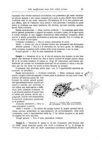 giornale/CFI0298588/1901/unico/00000031