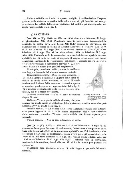 Rivista di patologia nervosa e mentale