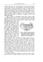 giornale/CFI0298588/1901/unico/00000069