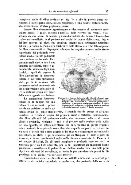 Rivista di patologia nervosa e mentale